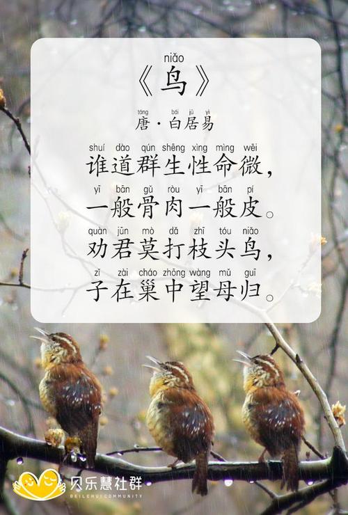 描写鸟的古诗句