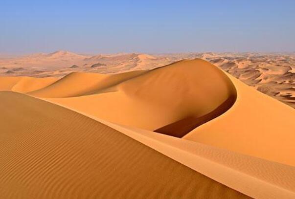 最大的沙漠