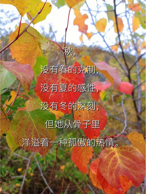 秋天的现代诗歌简短