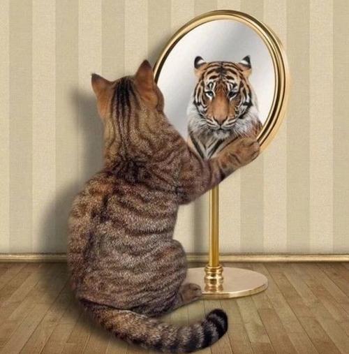 镜子里的自己