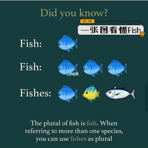 fish的用法